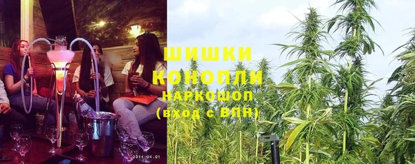 дживик Гусев