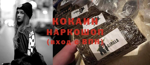 дживик Гусев