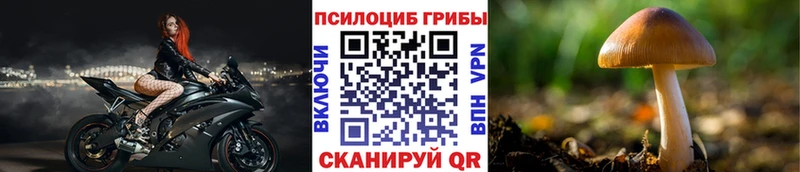 где купить наркотик  Миасс  кракен как войти  Псилоцибиновые грибы мицелий 